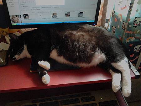 2012-11-05 12.51.23 2012-11-05 12.51.23