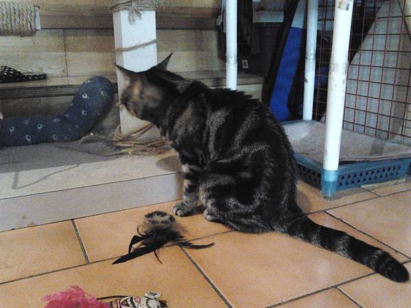 2013-06-19 17.15.56.jpg