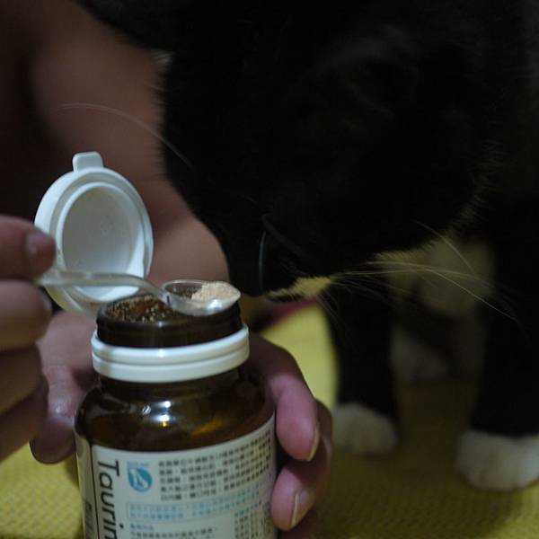 P1010384.JPG P1010384.JPG