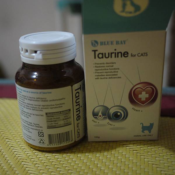 P1010371.JPG P1010371.JPG