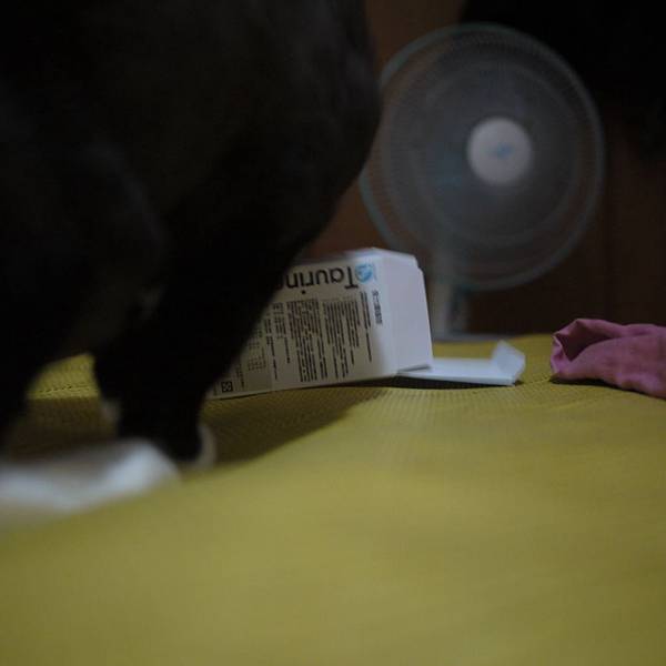 P1010380.JPG P1010380.JPG