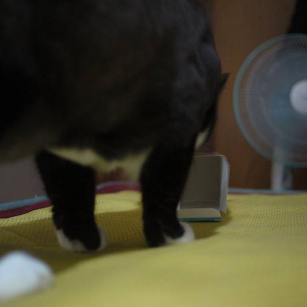 P1010381.JPG P1010381.JPG