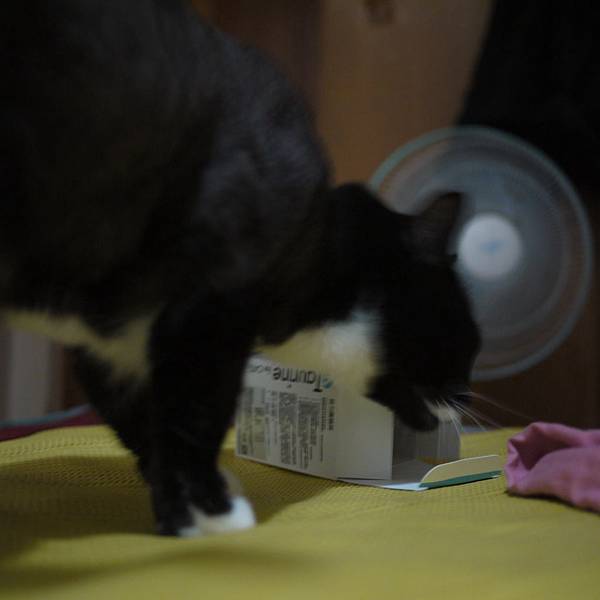 P1010382.JPG P1010382.JPG