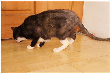 DSC03322.jpg DSC03322.jpg