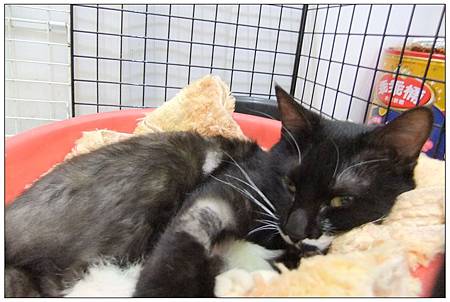 DSCF5915.jpg DSCF5915.jpg