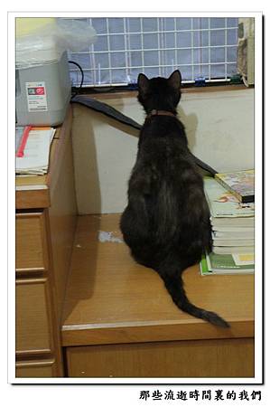 DSC04111.JPG DSC04111.JPG