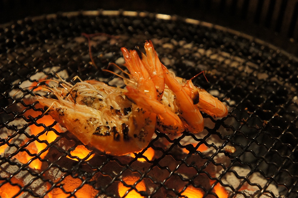 DSC08699.JPG DSC08699.JPG