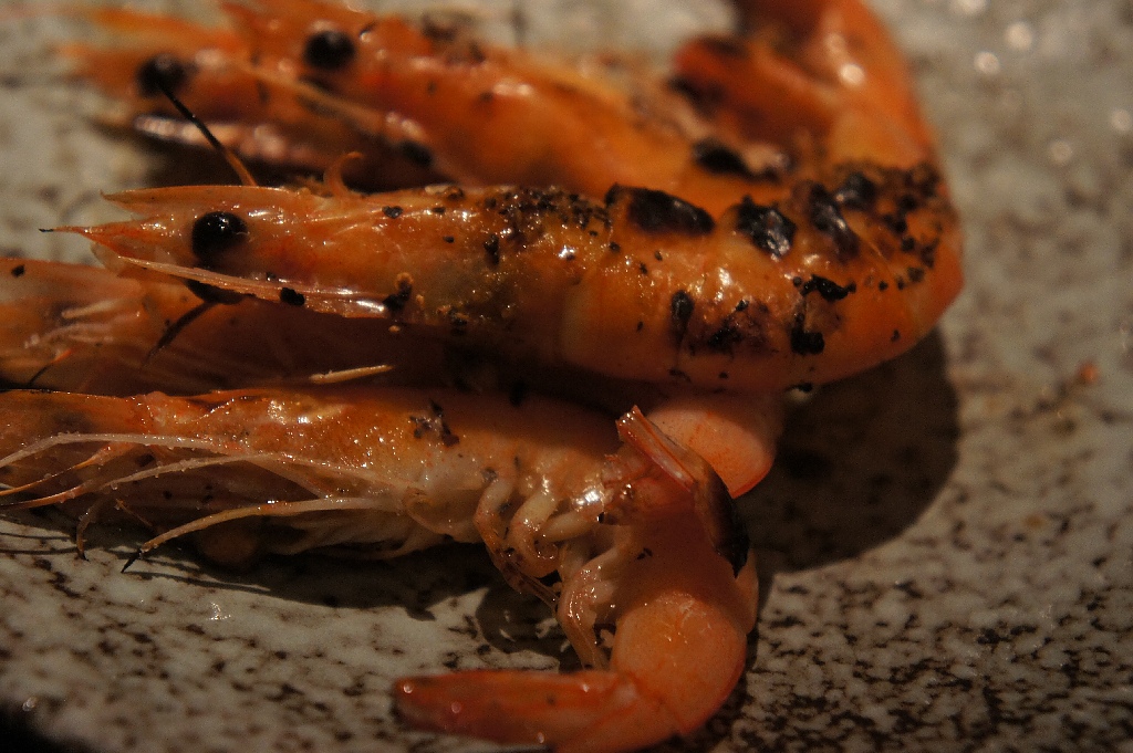 DSC08700.JPG DSC08700.JPG