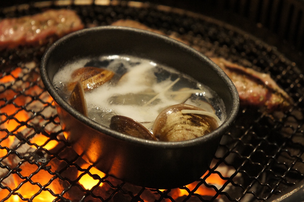 DSC08702.JPG DSC08702.JPG