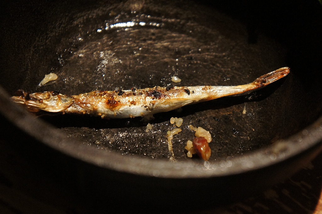 DSC08711.JPG DSC08711.JPG