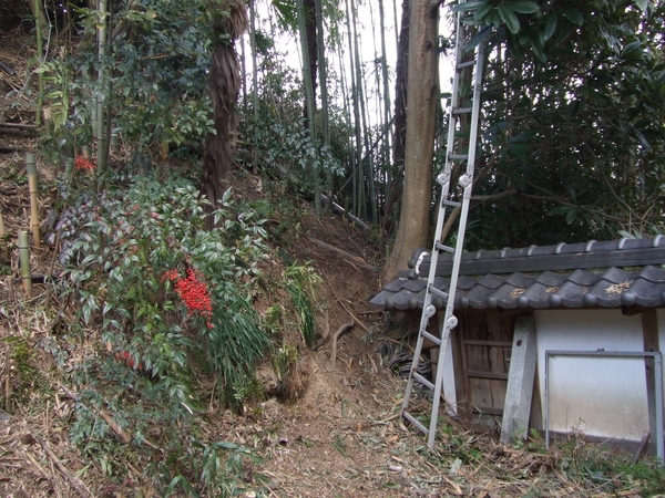 20100205 079.JPG 20100205 079.JPG