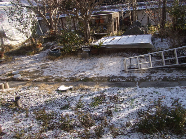 20100207 001.JPG 20100207 001.JPG