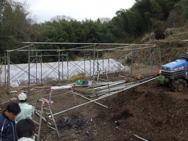 20100208 001.JPG 20100208 001.JPG