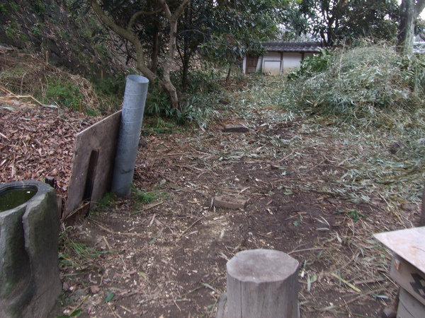 20100209 003.JPG 20100209 003.JPG