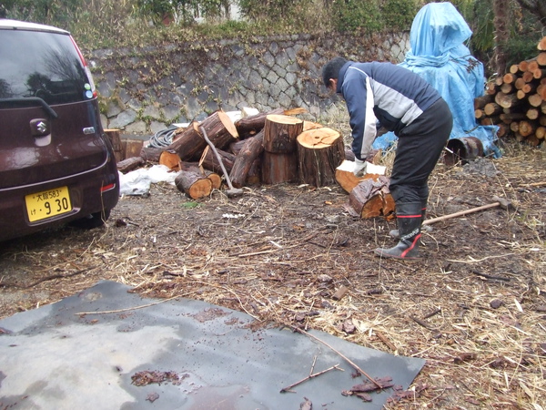 20100212 002.JPG 20100212 002.JPG