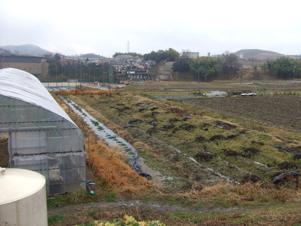 20100215 001.JPG 20100215 001.JPG