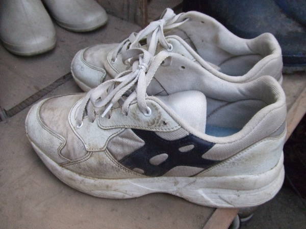 20100216 037.JPG 20100216 037.JPG