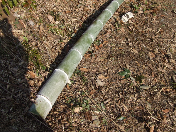 20100218 009.JPG 20100218 009.JPG