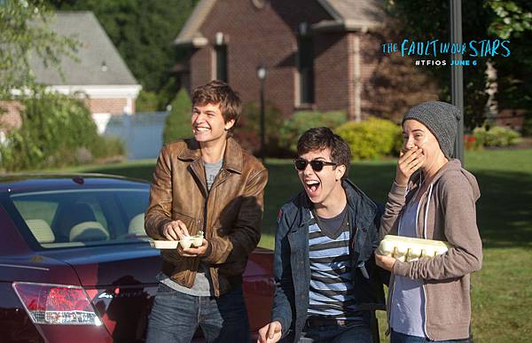 The Fault in Our Stars2 The Fault in Our Stars2