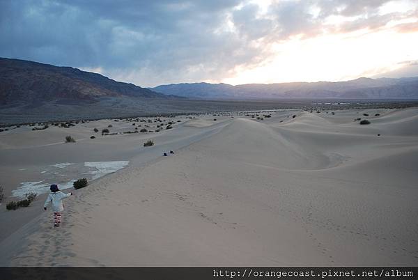 Death Valley 186