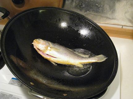 IMG_6704.jpg IMG_6704.jpg