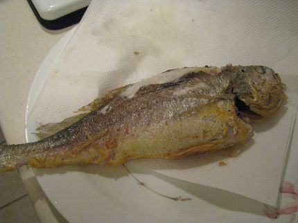 IMG_6707.jpg IMG_6707.jpg