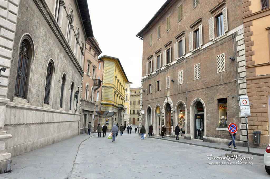 DSC_0262 拷貝.jpg DSC_0262 拷貝.jpg