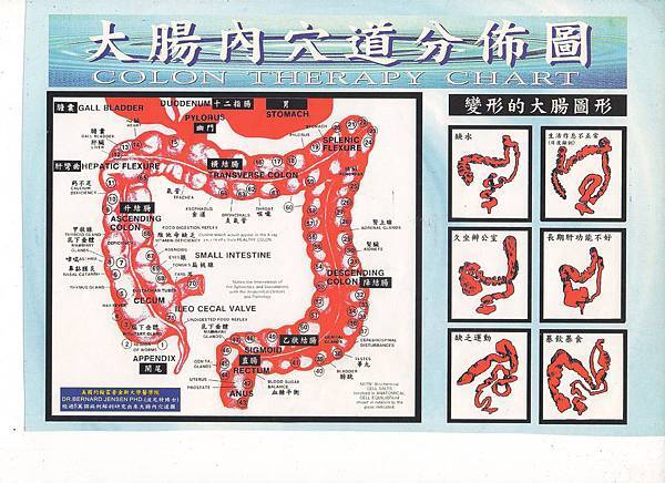 大腸穴道分佈圖.jpg