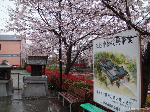 DSC05937.jpg DSC05937.jpg