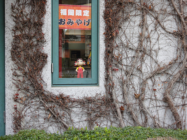 DSC00657.jpg DSC00657.jpg