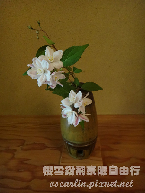 DSC02208.jpg DSC02208.jpg