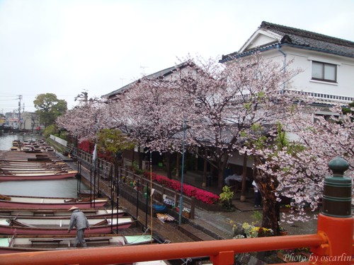 DSC05944.jpg DSC05944.jpg