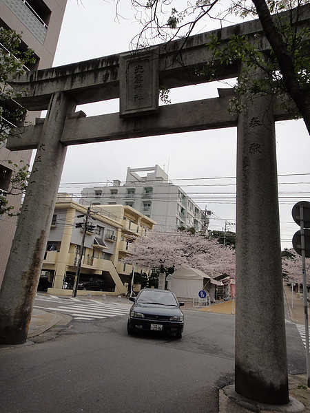 DSC00385.jpg DSC00385.jpg