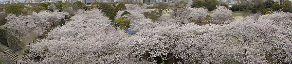 DSC00807.jpg DSC00807.jpg