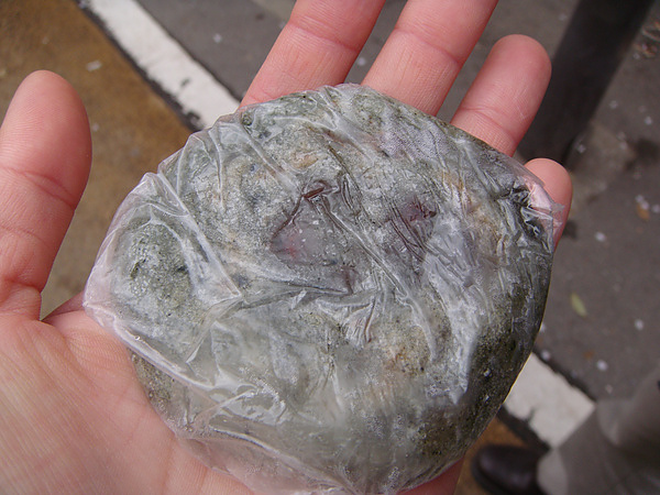 DSC05755.jpg DSC05755.jpg