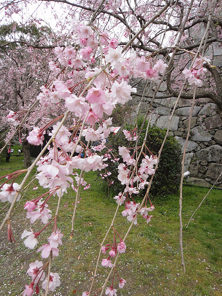 DSC00759.jpg DSC00759.jpg