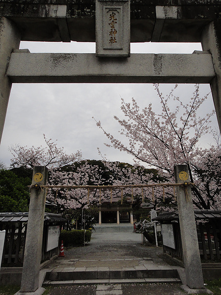 DSC00450.jpg DSC00450.jpg