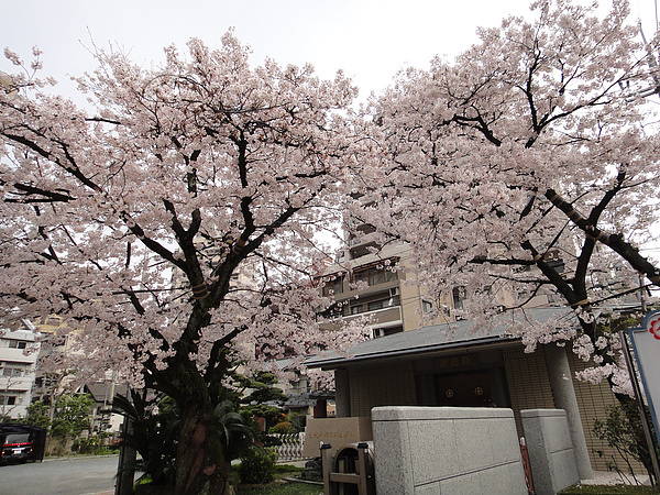 DSC00368.jpg DSC00368.jpg