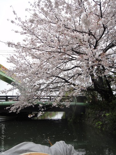 DSC01363.jpg DSC01363.jpg