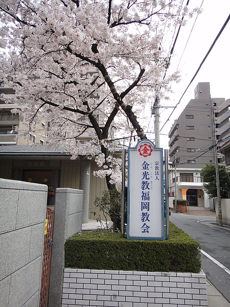 DSC00373.jpg DSC00373.jpg