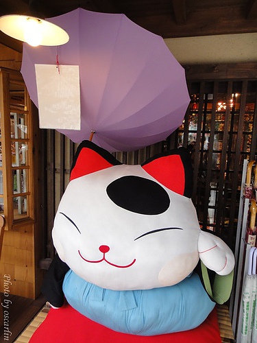 DSC02467.jpg DSC02467.jpg