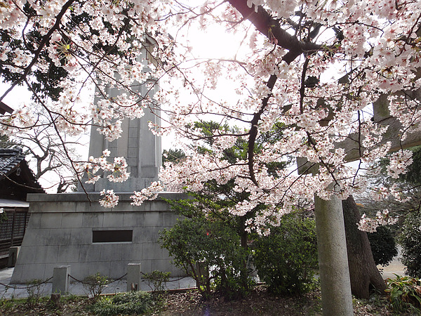 DSC00489.jpg DSC00489.jpg