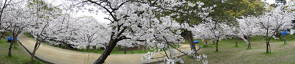 DSC00506.jpg DSC00506.jpg