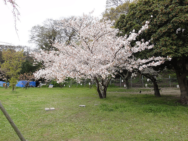 DSC00698.jpg DSC00698.jpg