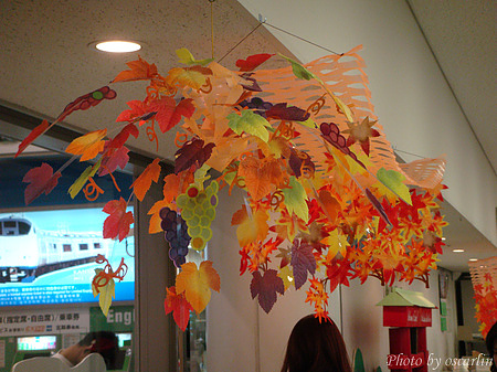 DSC01846.jpg DSC01846.jpg