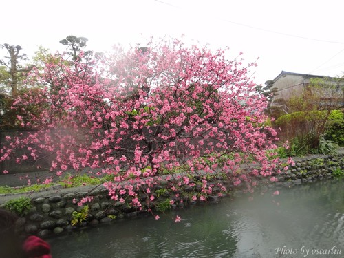 DSC01335.jpg DSC01335.jpg