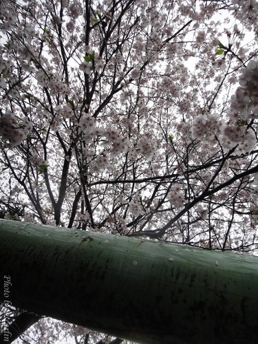 DSC01359.jpg DSC01359.jpg