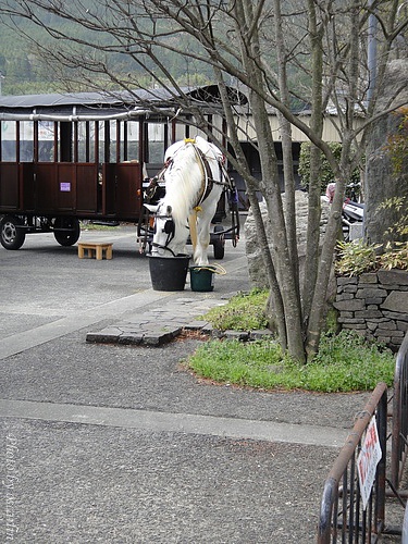 DSC02316.jpg DSC02316.jpg