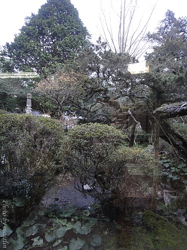 DSC02719.jpg DSC02719.jpg