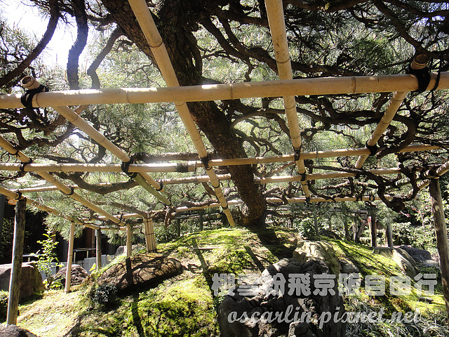 DSC01691.jpg DSC01691.jpg